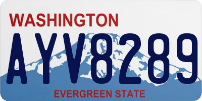 WA license plate AYV8289