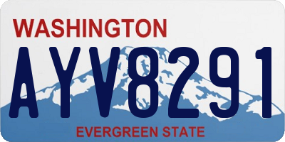 WA license plate AYV8291