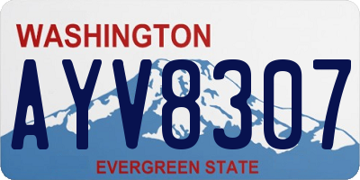 WA license plate AYV8307