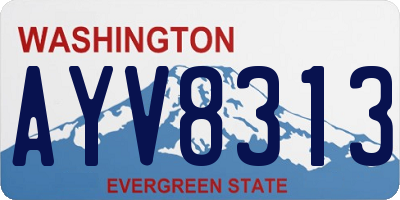 WA license plate AYV8313