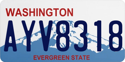 WA license plate AYV8318