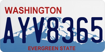 WA license plate AYV8365