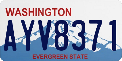 WA license plate AYV8371