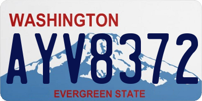 WA license plate AYV8372