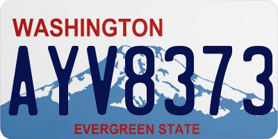 WA license plate AYV8373