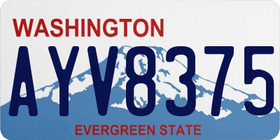 WA license plate AYV8375