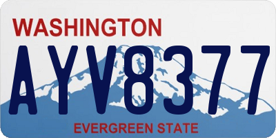 WA license plate AYV8377