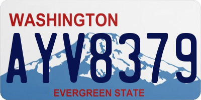 WA license plate AYV8379