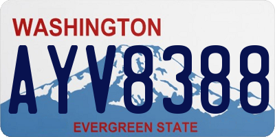 WA license plate AYV8388