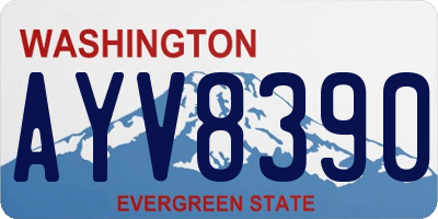 WA license plate AYV8390