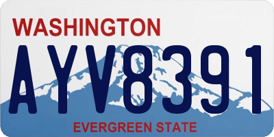 WA license plate AYV8391