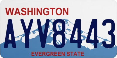 WA license plate AYV8443