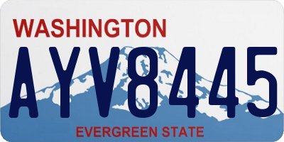 WA license plate AYV8445