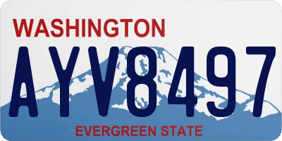 WA license plate AYV8497