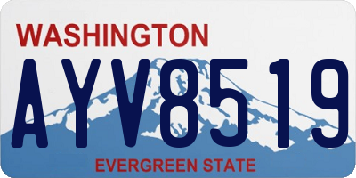 WA license plate AYV8519