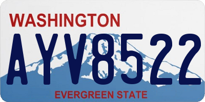 WA license plate AYV8522