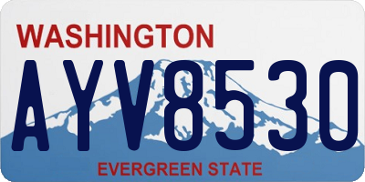 WA license plate AYV8530