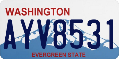 WA license plate AYV8531