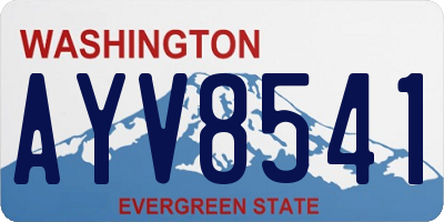 WA license plate AYV8541