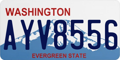 WA license plate AYV8556