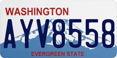 WA license plate AYV8558