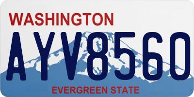 WA license plate AYV8560