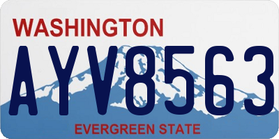 WA license plate AYV8563