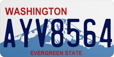 WA license plate AYV8564