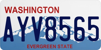 WA license plate AYV8565