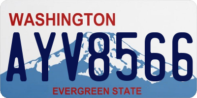 WA license plate AYV8566