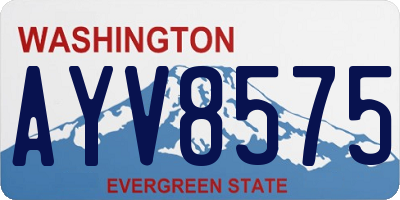 WA license plate AYV8575