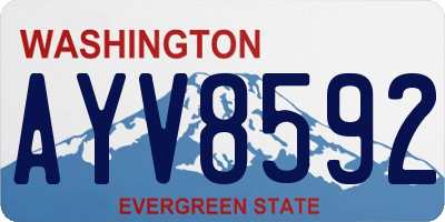 WA license plate AYV8592