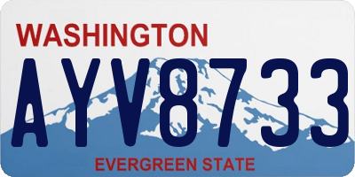 WA license plate AYV8733