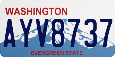 WA license plate AYV8737