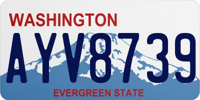 WA license plate AYV8739
