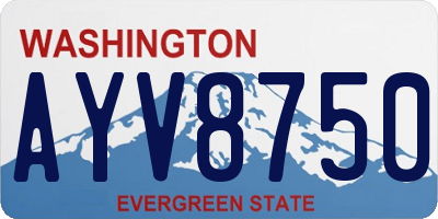 WA license plate AYV8750