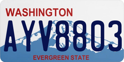 WA license plate AYV8803