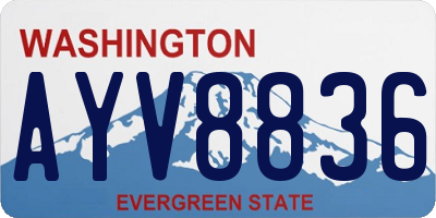 WA license plate AYV8836