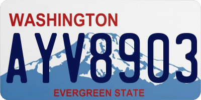 WA license plate AYV8903