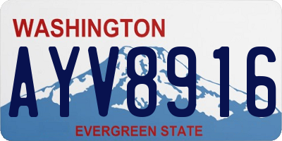 WA license plate AYV8916