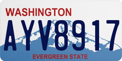 WA license plate AYV8917