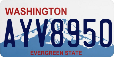WA license plate AYV8950