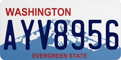 WA license plate AYV8956