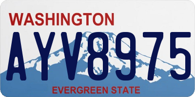 WA license plate AYV8975