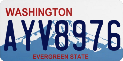 WA license plate AYV8976