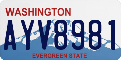 WA license plate AYV8981
