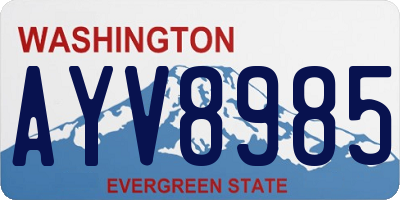 WA license plate AYV8985