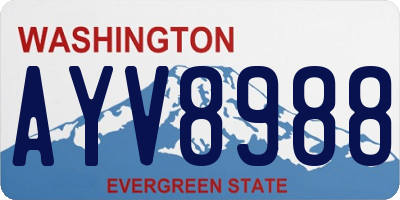 WA license plate AYV8988