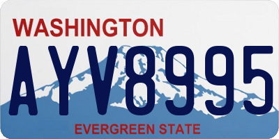 WA license plate AYV8995