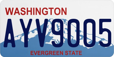 WA license plate AYV9005